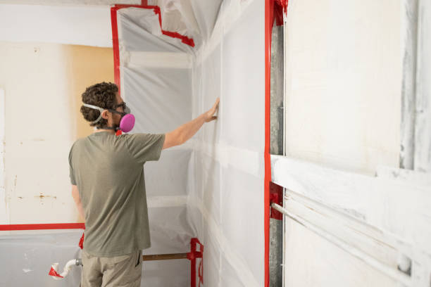 Best Real Estate Mold Inspection  in Campbellsville, KY