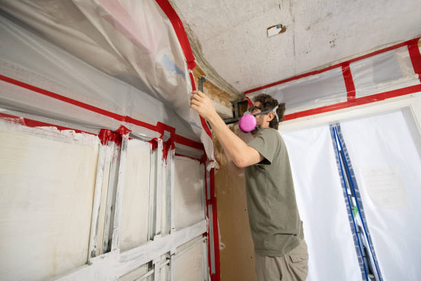 Best Industrial Mold Remediation  in Campbellsville, KY