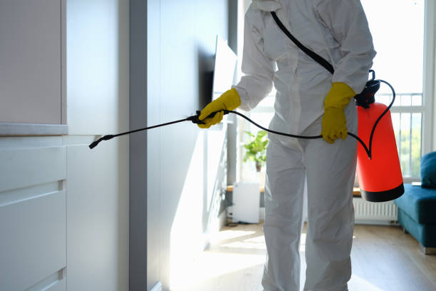 Best HVAC Mold Inspection and Cleaning  in Campbellsville, KY