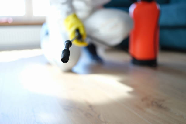 Best Mold Odor Removal Services  in Campbellsville, KY